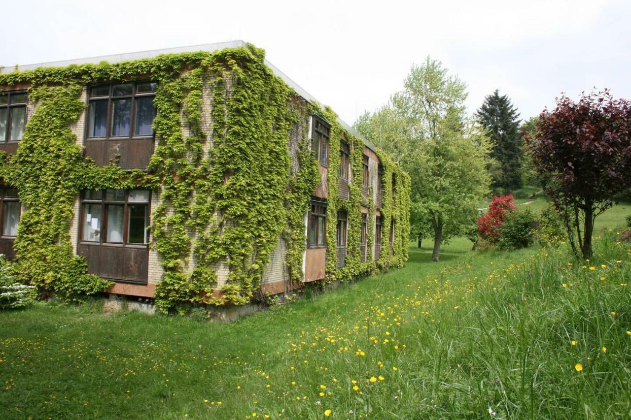 Parkblick Appartement - Entspannung Pur! Ober-Hambach Ngoại thất bức ảnh